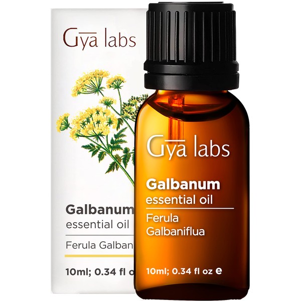 Gya Labs Galbanum Essential Oil (10ml) - Woody & Earthy Scent