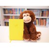 EUGENE & CO. Mokey Plush | Monkey Soft Plush |