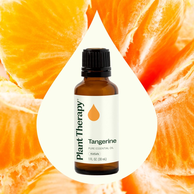 Plant Therapy Tangerine Essential Oil 30 mL (1 oz) 100%