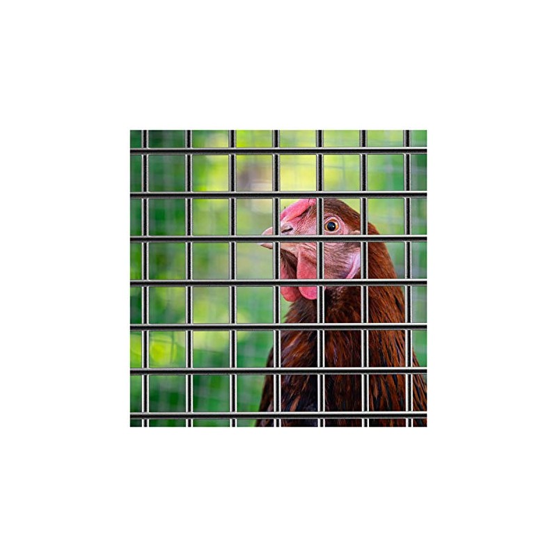 Far North Hardware Cloth 19 Gauge M 1/2" (5, 2)