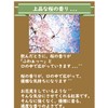Cherry Blossom Tea, Sakura Tea, 1.1 oz (30 g), Unsweetened
