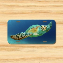 Amel Sea Turtle License Plate Front Black Auto Tag Plate Ocean Beach Loggerhead New