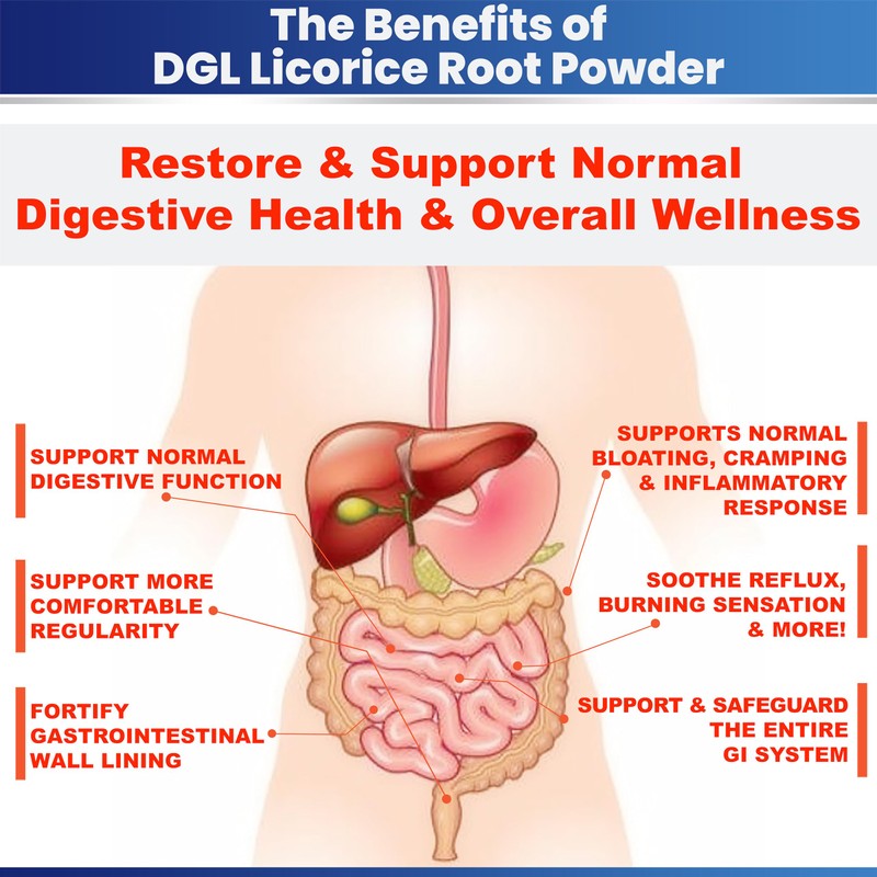 DGL Licorice Extract Powder Digestive Restoration Leaky Gut Repair 2-Pack