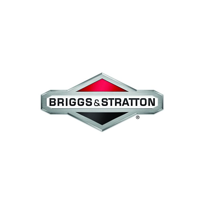 Briggs & Stratton 6216 2-Foot Hose to Pump Kit with