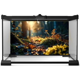 Reptile Habitat Backdrop Moss and Fern Sunset Forest Terrarium Background Peaceful Nature World Aquarium Backdrop Rainforest Fish Tank Background Wallpaper Poster Vinyl 36x20in