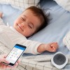 Inkbird Wireless Bluetooth Thermometer/Hygrometer, Indoor and Outdoor Usage, Probe Included,
