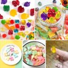 Sidosir 4Pcs Gummy Fruit Candy Molds, Non-stick Silicone Candy Gummy