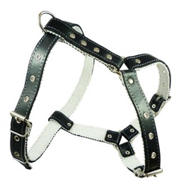 Genuine Leather Dog Harness Padded, Fits 17" - 21" Chest, Poodle, Boston Terrier