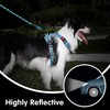 PoyPet No Pull Dog Harness and 5 Feet Leash Set,