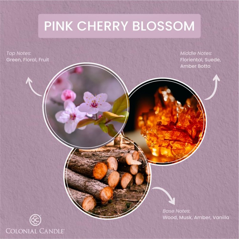 Colonial Candle Pink Cherry Blossom Scented Jar Candle, 2 Wick,