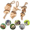 Hamster Chew Toys 3pcs Chinchilla Chew Toys Teeth Care Molar