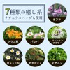  EtComplex Suya Rich GABA Supplement Rest Support Theanine Roughma