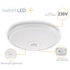 Sweet White LED Ceiling Light with Motion Detector 360 °