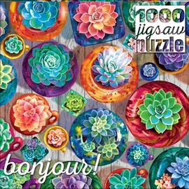 Buffalo Games - Gina Jane Lee - Succulent Selection - 1000 Piece Jigsaw Puzzle for Adults Challenging Puzzle Perfect for Game Nights - Finished Puzzle Size is 26.75 x 19.75