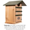 JCS Wildlife Screech Owl & Saw-Whet Owl House – Cedar