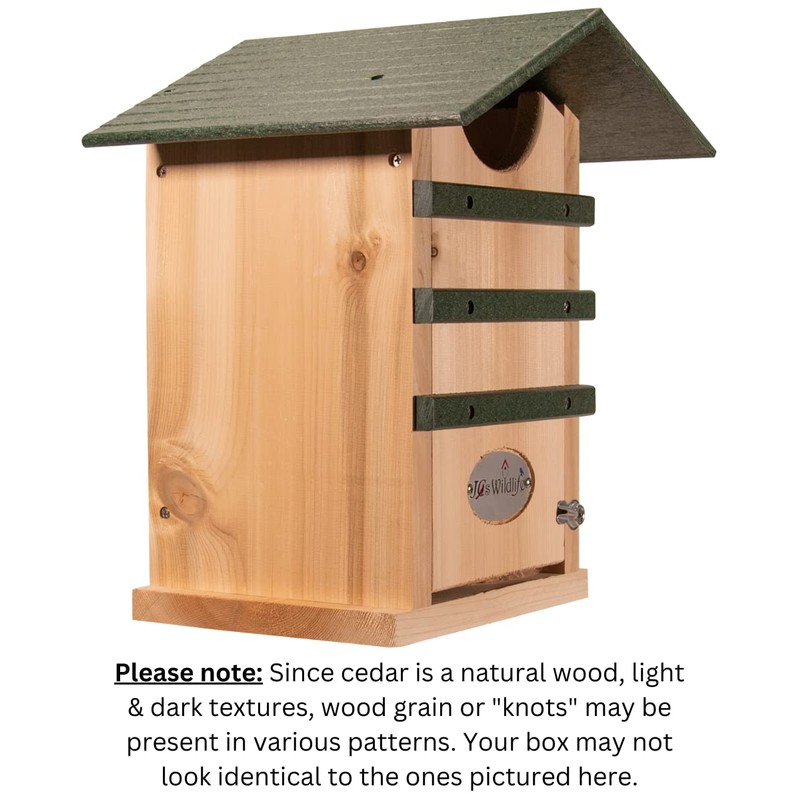 JCS Wildlife Screech Owl & Saw-Whet Owl House – Cedar
