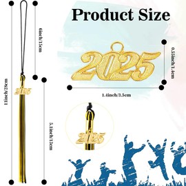 2025 Graduation Cap Tassel with 2025 Year Gold Charms for Graduation Cap, Tassel Accessories for Graduate Hat Ceremonies Black Gold