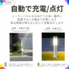 Raatel LED Solar Light, Set of 2, Pole Light, Solar