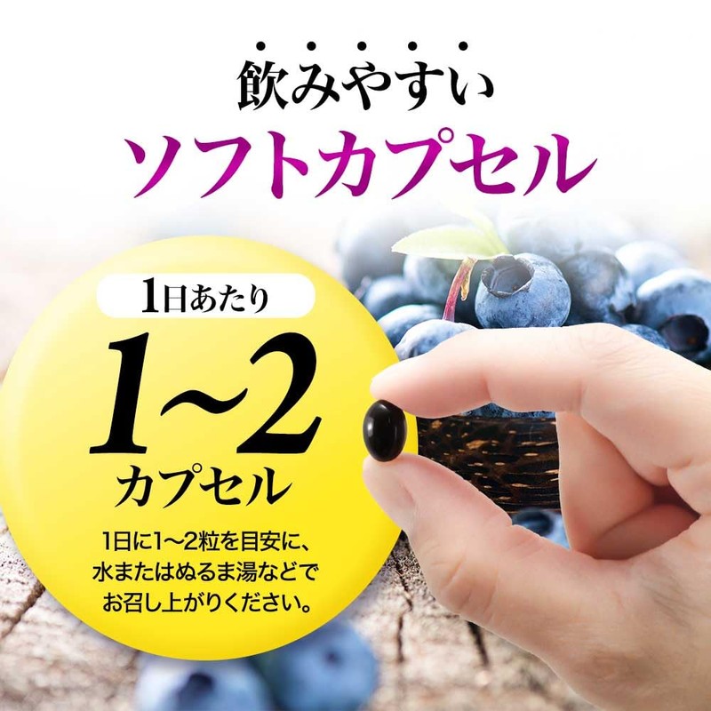 オーガランド (ogaland) ブルーベリープレミアム (90粒 / 約3ヶ月分) サプリ (ルテイン/ブルーベリー/アスタキサンチン/カシス) メグスリノキ サプリメント