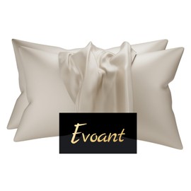 Satin Silk Pillowcase for Hair and Skin, Queen Size Pillow Cases Set of 2, Super Soft Pillow Case with Envelope Closure(20 * 30inch)