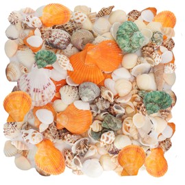 110+ Pcs Mixed Sea Shells Beach Seashells Starfish for Crafts Natural Various Sizes Ocean Conch Starfish Shells for DIY Home Fish Tank Vase Fillers Decorations Decorating Beach Theme Party