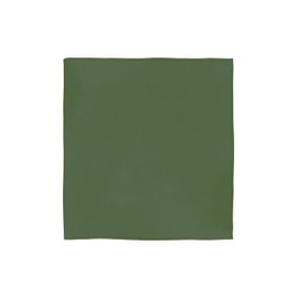 JOPHY & CO. 100% Cotton Bandanas for Women Men Children Unisex with Paisley Pattern Headwear Scarf for Hair/Neck/Wrist/Head COD.644, Green (military green)