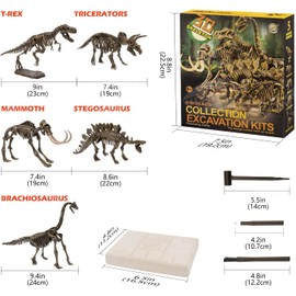 Dinosaur Fossil Digging Kit for Kids and Adult, STEM Science Dinosaur Fossil Dig Kit for Paleontology and Archeology Enthusiasts, Realistic Dig Up Dinosaurs Skeleton Set Educational Toys