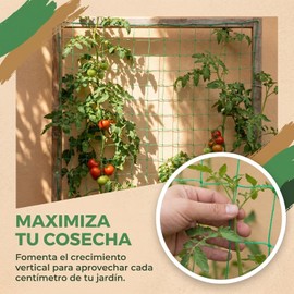 Red De Enrejado para Plantas Trepadoras Verde Malla De Soporte para JardíN Que Favorece Crecimiento Vertical Y CirculacióN De Aire