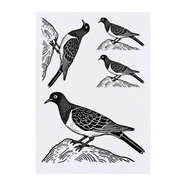 4 x 'Dove on Rock' Temporary Tattoos - Water Resistant, Skin-Safe, Non-Toxic Transfers, Mixed Sizes (TO00080614)