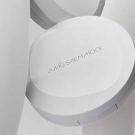 JUNG SAEM MOOL Pro-lasting Flawless Fit Mesh Cushion 14g, Shade:13 Snow