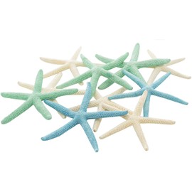 Starfish Decor - Star Fish for Craft - 10pk Real 4-6" Green Blue White Sea Stars - Beach Wedding Decor - Coastal Party Decorations - Seashell Decor