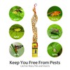 Fly Traps for Indoors Outdoor, Fly Paper Strips Sticky Hanging,