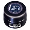 Pregel Gel Nail Color EX, Milky Carrot 300 bule