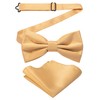 RBOCOTT Champagne Bow Tie Bowtie and Pocket Square Set for
