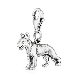 NKlaus Charm Pendant Decorative 925 Silver Pendant for Bracelets, Necklaces or Silver Jewellery Lucky Charm Jewellery Pendant, Silver