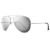Abaco Dakota Polarized Sunglasses - Silver/Chrome Mirror