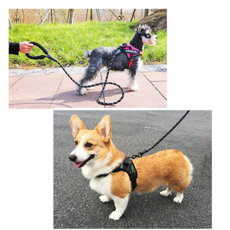 Mirhua リード 犬 伸縮 おしゃれ ペット用品 太さ選べる 長さ1.5m 小型 取っ手