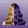 Splat | Midnight Complete Kit | Hair Dye | Semi-Permanent