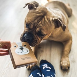 soxo Dog Cat Socks Women's Gifts For Men Socks Gift For Women 2 Sizes, dog