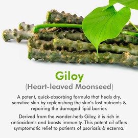  Generic Glamzy Signature Guduchi Taila | Body Oil For Men & Women | Dry & Dehydrated Skin Nourish & Rejuvenation The Skin | Paraben & Chemical Free | 100 ml