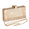 Menurra Women Acrylic Evening Clutch bag Glitter Marble Purse Handbag