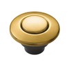 Moen Brushed Gold Garbage Disposal Air Switch Coordinating Decorative Button,