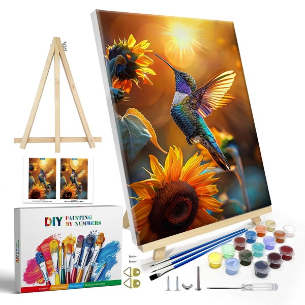 JOOZ Paint by Numbers Kit for Adults with Frame, Hummingbird