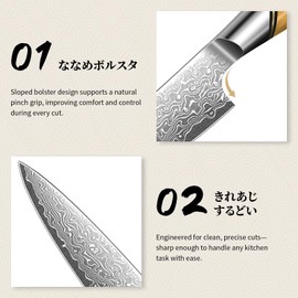 TIVOLI Damascus Paring Knife,VG-10 Fruit Knife with Razor Sharp Blade and Ergonomic Olive Wood Handle, Ideal for Home and Kitchen
