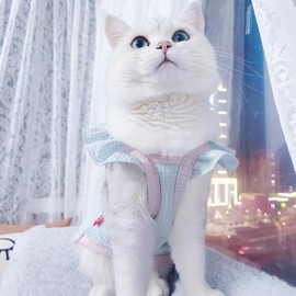 2 Packs Summer Dog Clothes for Small Dogs Girl Breathable Puppy Outfit Cute Cat Shirt for Cat only Spring Pet Tee Shirts Doggies Vest Sweatshirt for Chihuahua Poodle Yorkshire (Pi nk Blue, Large)