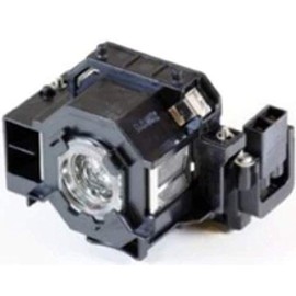 MicroLamp ML10252 170W projector lamp - projector lamps (Epson, Epso