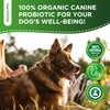 Probiotics for Dogs | Liquid Probiotics for Dogs | Prebiotic