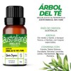Aceite Esencial De Árbol De Té Antimicotico 100% Natural