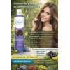 Shampoo Tipo Aceite De Oso 530ml Shelo Nabel