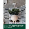 Keno Adhesive Ceiling Hooks for Hanging Decorations - 5 Pack